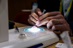 SOE-Vision-2025-Lisbon-Day2-Conference-0073