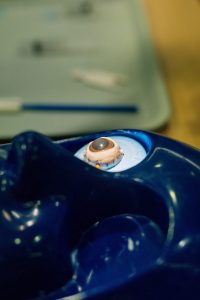 SOE-Vision-2025-Lisbon-Day2-Conference-0107